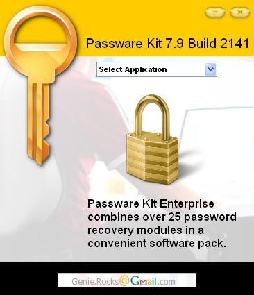 Passware Kit -  10