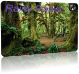 Screensaver Rainy Forest 1.0 