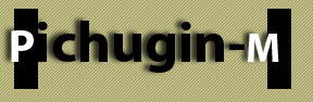 Pichugin-M Organizer 3.0.95 