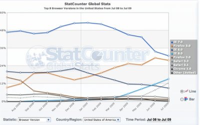 Internet Explorer       11%