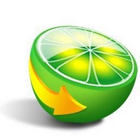LimeWire Pro 5.2.8 