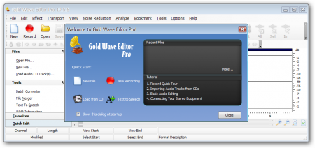 Gold Wave Editor Pro 10.5.5