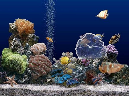 Marine Aquarium 2 +Time