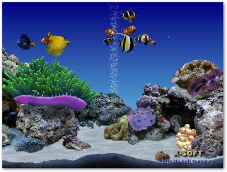 DigiFish Clownfish v1.0