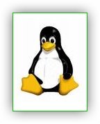        Linux  2.6.33