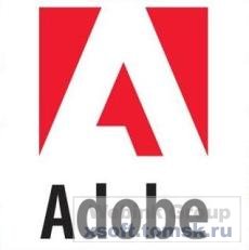 Продукты Adobe - главная цель хакеров в первом квартале 2010 года
