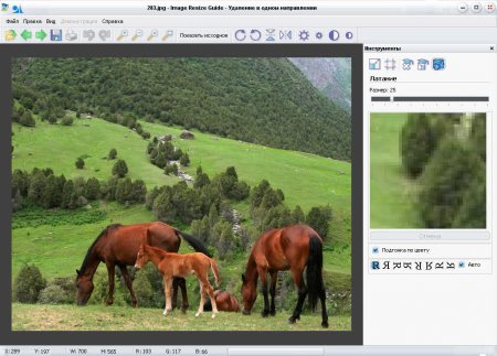 Image Resize Guide 1.0.3 + Portable