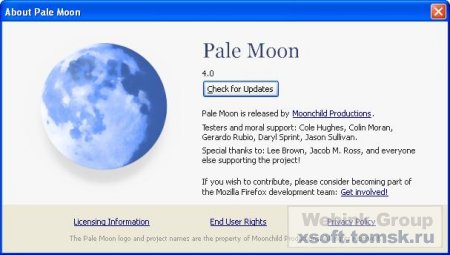 Pale Moon 4.0 + Rus + Portable