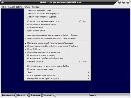 GetDiz 4.7 Rus