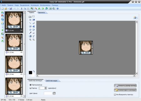 Easy GIF Animator Pro 6.1.0.52 Rus + Portable