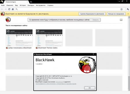 NetGate BlackHawk 29.0.1547.66  Rus