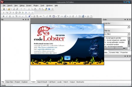CodeLobster PHP Edition Professional 4.8.2 Rus + Portable
