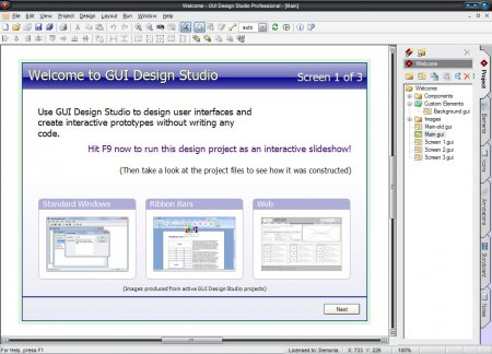 Caretta GUI Design Studio Professional 4.6.155.0 Eng + portable
