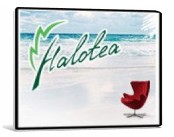 Halotea 1.304 Rus + Portable 
