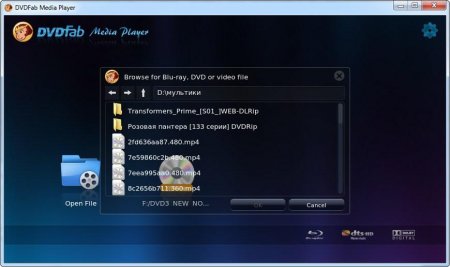 DVDFab Media Player 1.0.3.0 Rus