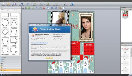 Picture Collage Maker Pro 4.0.5.3799 Rus + Portable