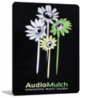 AudioMulch 2.2.4 Eng + Portable