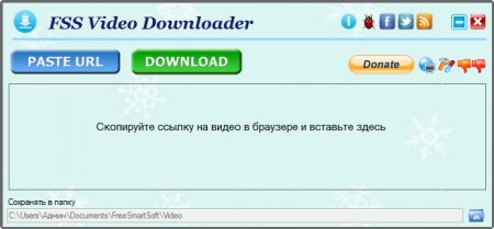FSS Video Downloader 4.0.2.3 Rus Portable