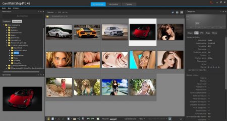 Corel PaintShop Pro X6 16.2.0.20 SP2 Rus + Creative collection