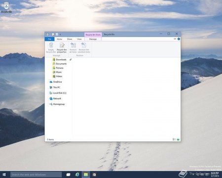      Windows 10   