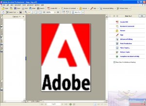 Adobe Acrobat 8.0 Build 456 Professional Russian Edition