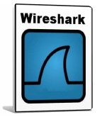 Wireshark    4.0.1